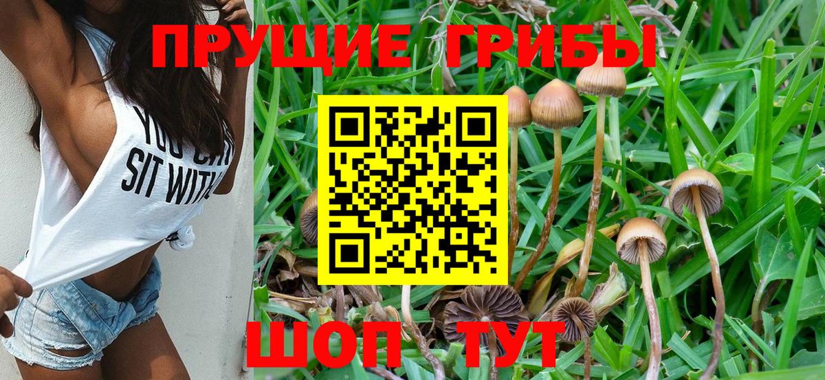 Псилоцибиновые грибы ЛСД Добрянка