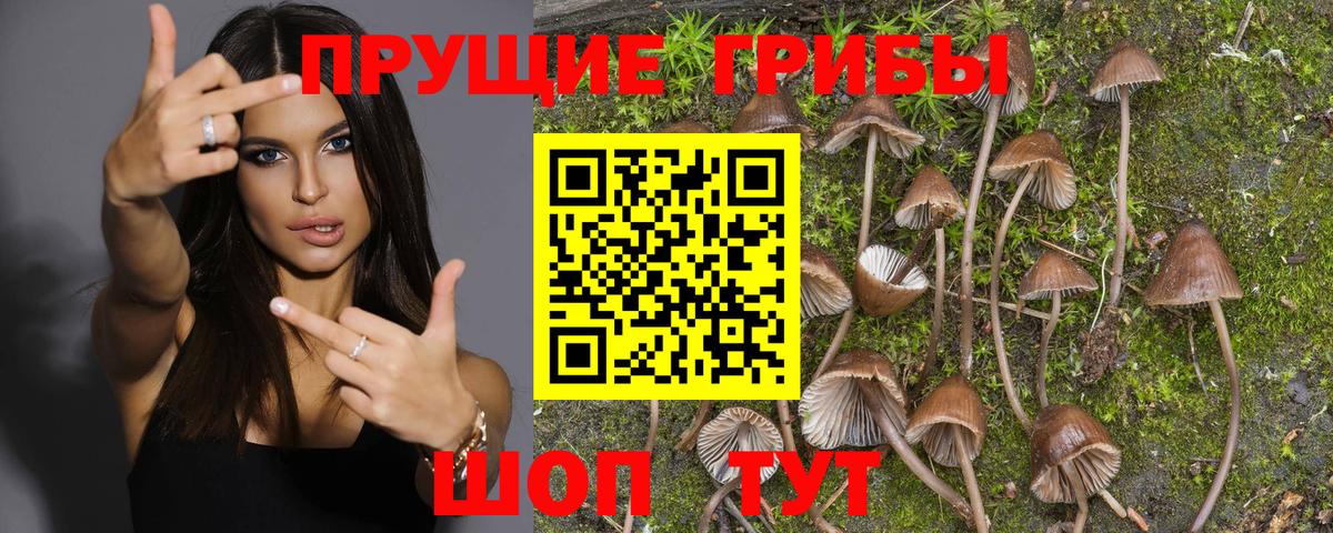 Добрянка  Псилоцибиновые грибы мухоморы  Вход с VPN 